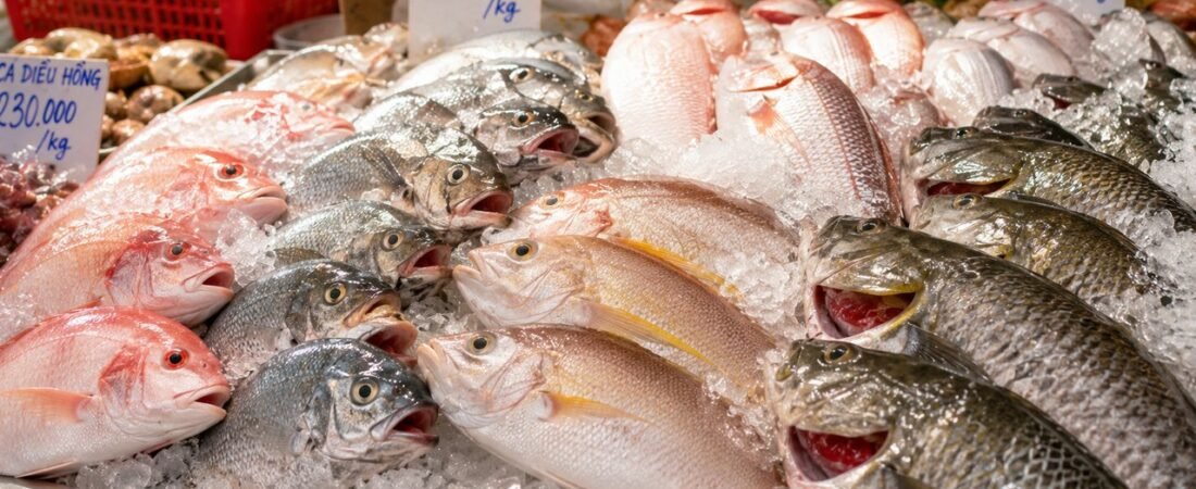 Cách chọn cá tươi: nhìn mắt, mang, độ đàn hồi