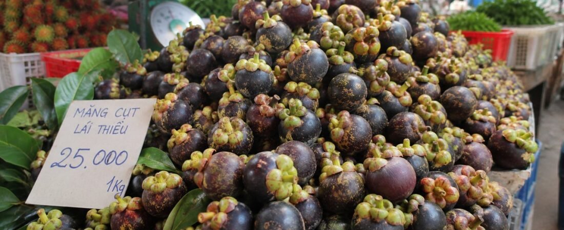 Mùa măng cụt tháng mấy? Mua ở đâu ngon